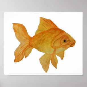 Goldfish Poster