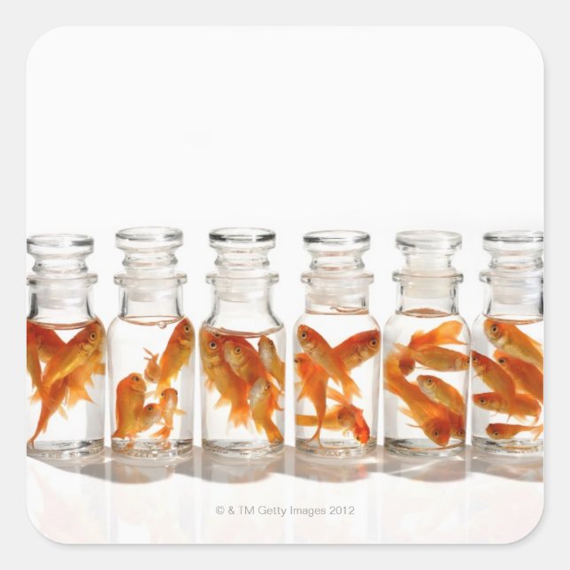 Goldfish Square Sticker (Front)