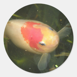 Goldfish Stickers