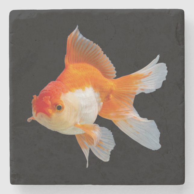 Goldfish Stone Coaster (Front)