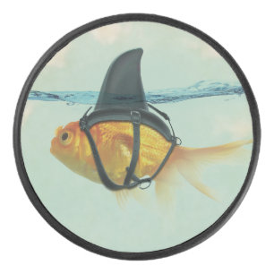 Goldfish with a Shark Fin Hockey Puck
