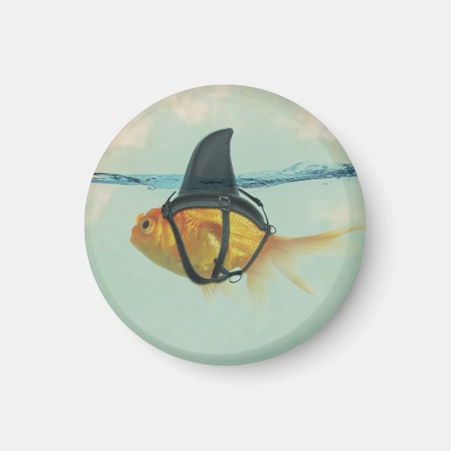 Goldfish with a Shark Fin Magnet (Front)