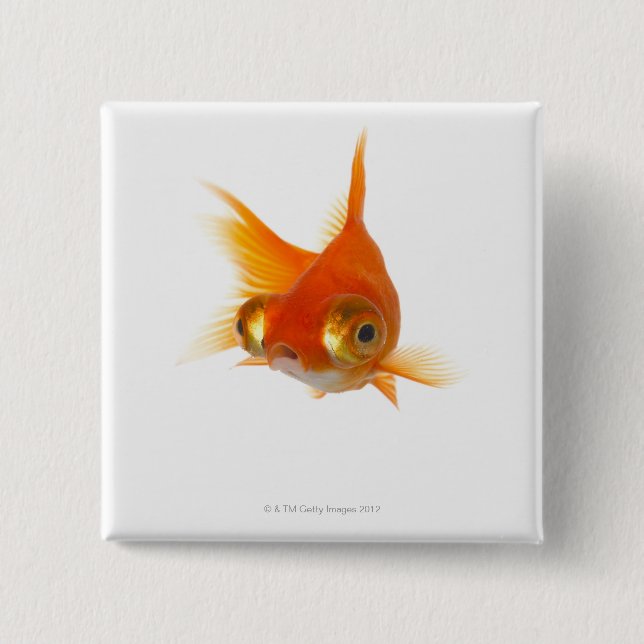 Goldfish with Big eyes 15 Cm Square Badge (Front)