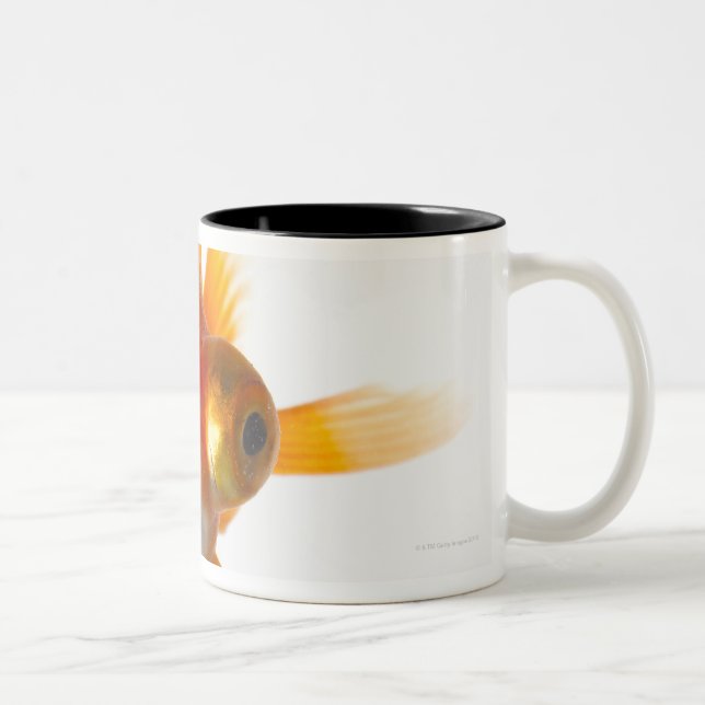 Goldfish with Big eyes 2 Two-Tone Coffee Mug (Right)