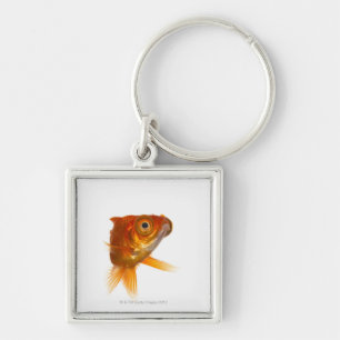 Goldfish with Big eyes 3 Key Ring