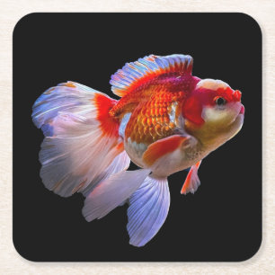 Goldfish with Black Background Square Paper Coaster