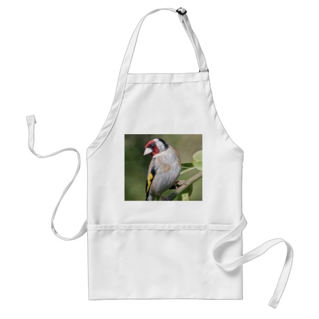 Goldie Apron (Front)