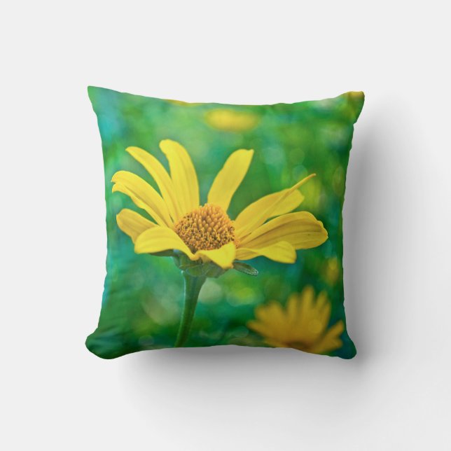 Goldie Cushion (Front)
