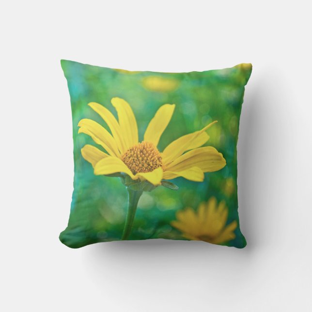 Goldie Cushion (Front)