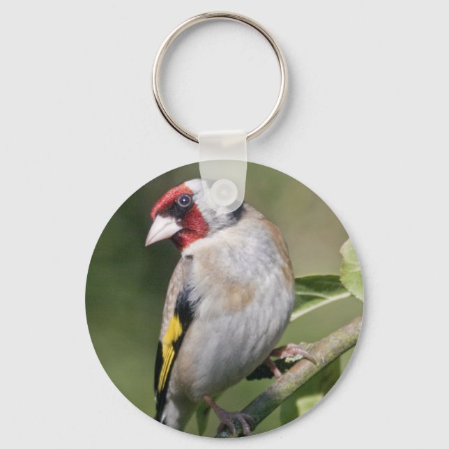 Goldie Keyring (Front)