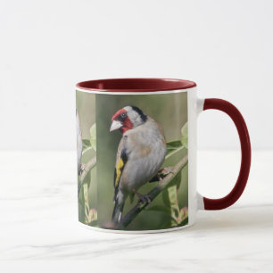 Goldie Mug