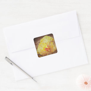 Goldie the Chicken Stickers