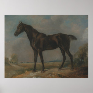 Golding Constable’s Black Riding Horse Poster
