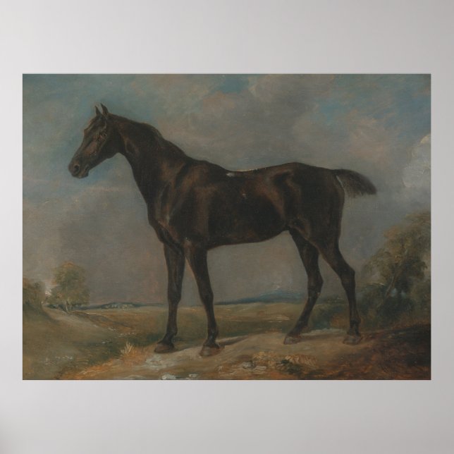 Golding Constable’s Black Riding Horse Poster (Front)