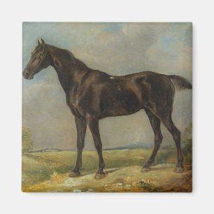 Golding Constable's Black Riding-Horse, c.1805-10 Magnet