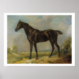 Golding Constable's Black Riding-Horse, c.1805-10 Poster