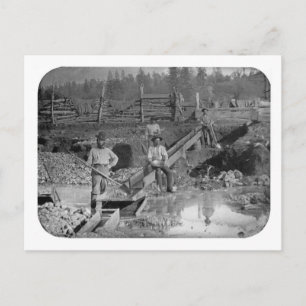 Goldminers Gold Rush Miners ~ California 1850 Postcard
