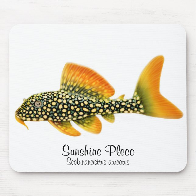 Goldy Sunshine Pleco Mousepad (Front)