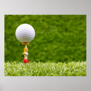 Golf ball is on tee on green grass background   poster
