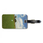 Golf Ball On The Green,