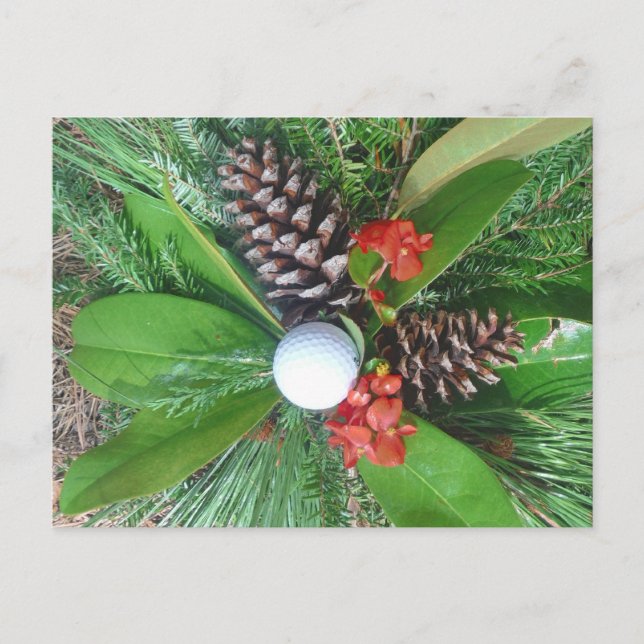 Golf ball pine cones and evergreens Christmas Holiday Postcard (Front)
