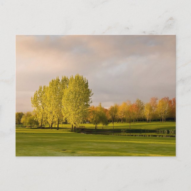 Golf Course in Autumn Postcard (Front)