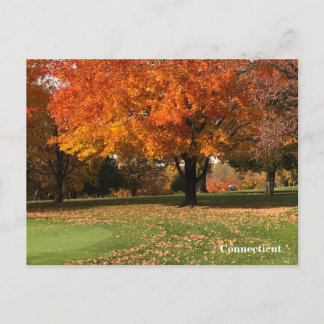 "Golf Course In Fall" Postcard