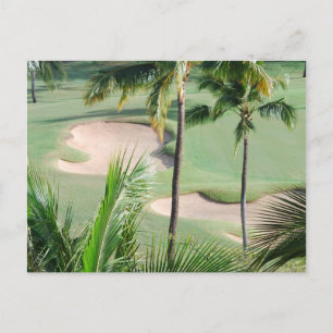 Golf Course in Tropics Postcard
