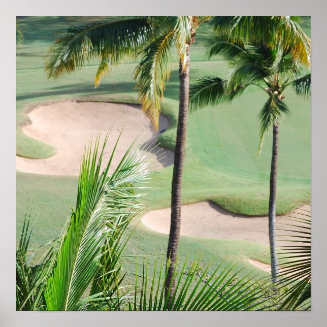 Golf Course in Tropics Poster (Front)