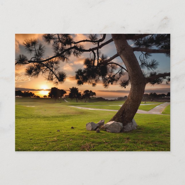 Golf Course Sunset Postcard (Front)