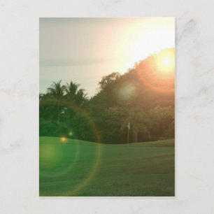 Golf Green Postcard