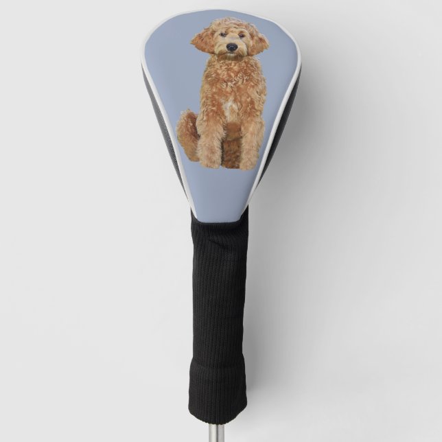 Golf Head Cover of golden doodle (Front)