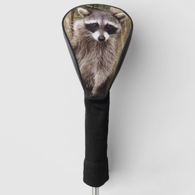 Golf Head Cover w/ racoon (Front)