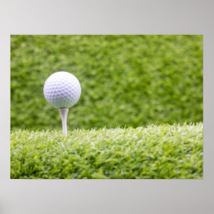Golf is on green grass background poster