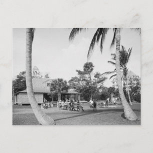 Golfing in Palm Beach, 1904 Postcard