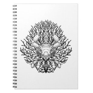 Goliath beetle notebook
