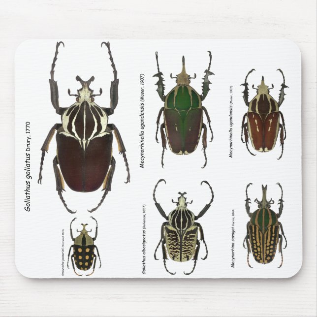 Goliath mousepad (Front)