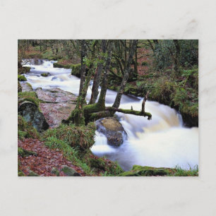 Golitha Falls, Cornwall, England at the Cornish Ri Postcard