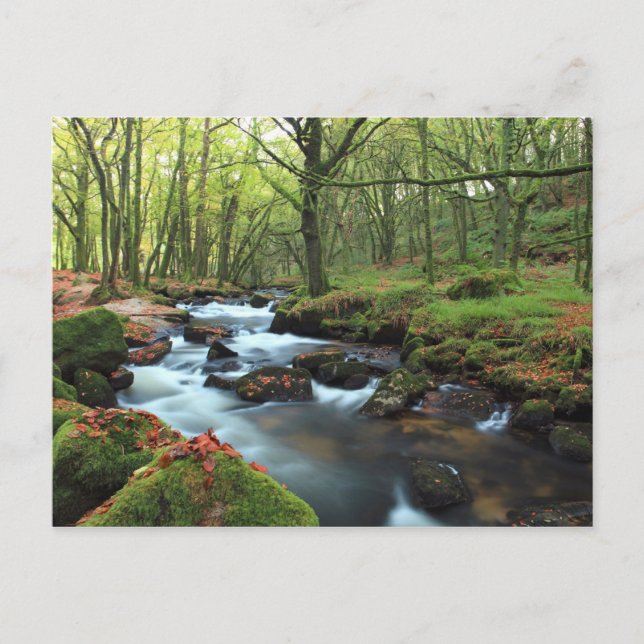 Golitha Falls Postcard (Front)