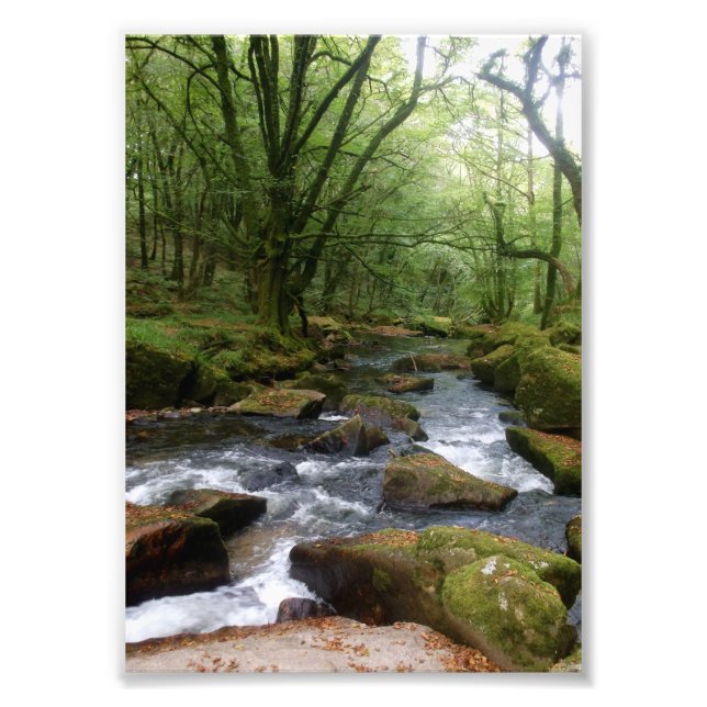 Golitha Falls River Fowey Cornwall England Photo Print (Front)