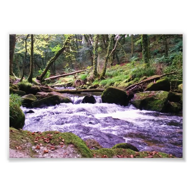 Golitha Falls River Fowey Cornwall England Photo Print (Front)