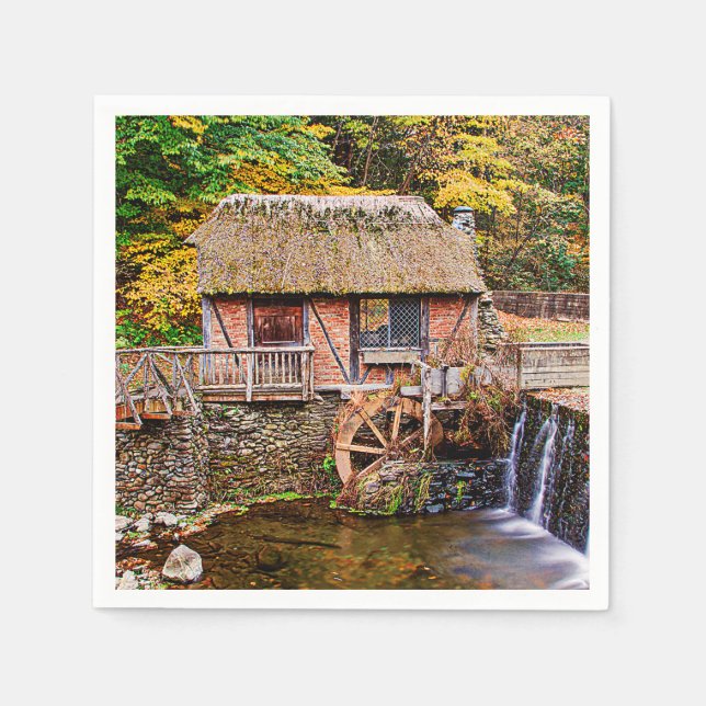 Gomez Mill Napkin (Front)