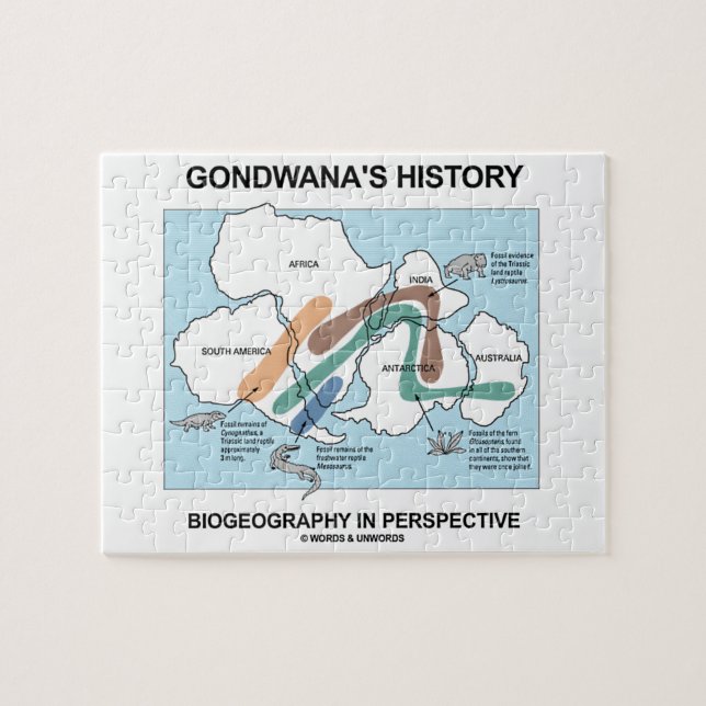 Gondwana's History Biogeography In Perspective Jigsaw Puzzle (Horizontal)