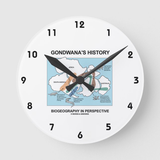 Gondwana's History Biogeography In Perspective Round Clock (Front)