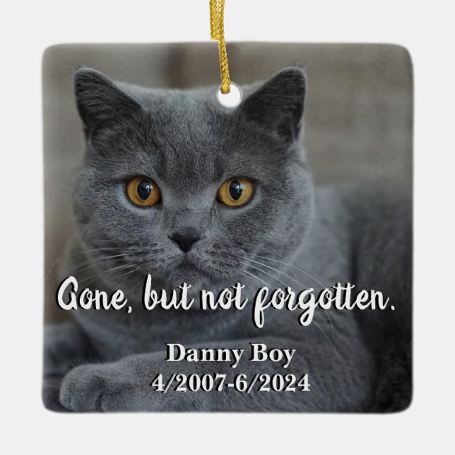 Gone But Not Forgotten Pet Memorial Ceramic Ornament (Front)