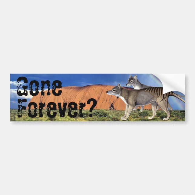 Gone Forever? Tasmanian Tiger Bumper Sticker (Front)