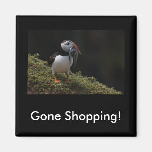 Gone Shopping Fisher Puffin Magnet