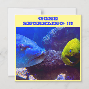 GONE SNORKLING CRUISE SHIP DOOR MAGNET