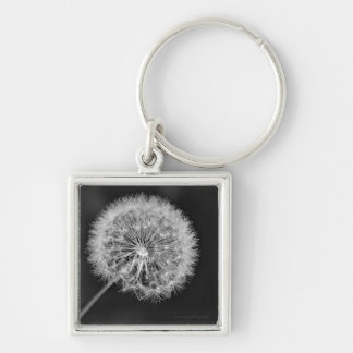 Gone to Seed Key Ring