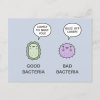 Good Bacteria, Bad Bacteria